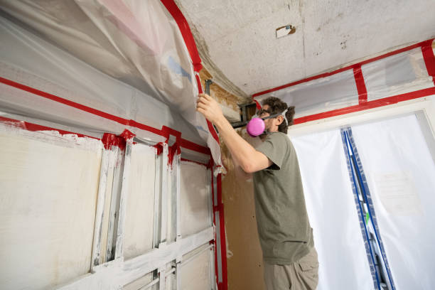 Best Mold Prevention Services  in Amity Gardens, PA